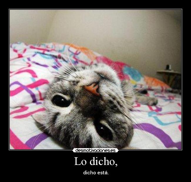 Lo dicho, - dicho está.