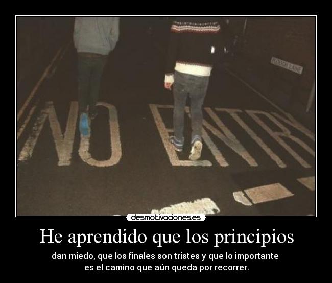 carteles aprendido que los principios desmotivaciones