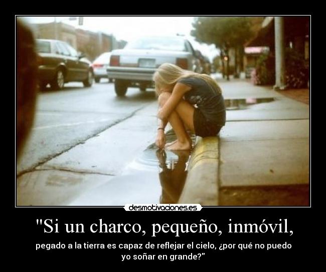 Si un charco, pequeño, inmóvil, -