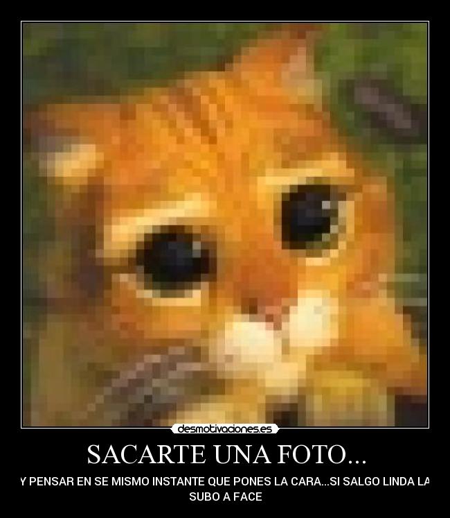 SACARTE UNA FOTO... -