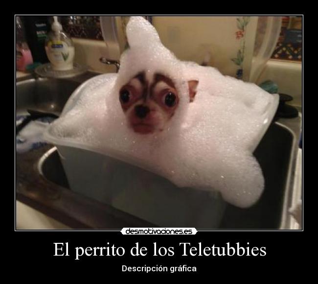 El perrito de los Teletubbies - Descripción gráfica