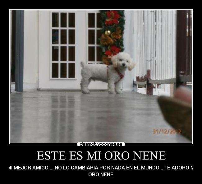 ESTE ES MI ORO NENE - MI MEJOR AMIGO.... NO LO CAMBIARIA POR NADA EN EL MUNDO... TE ADORO MI
ORO NENE.