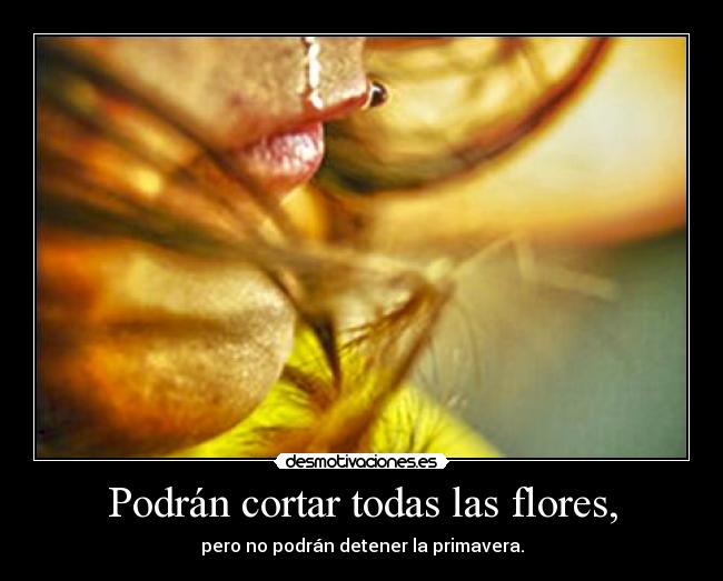 carteles caes vuelve levantate sigue delante desmotivaciones