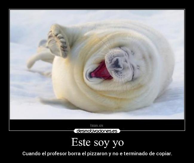 carteles animal13 desmotivaciones
