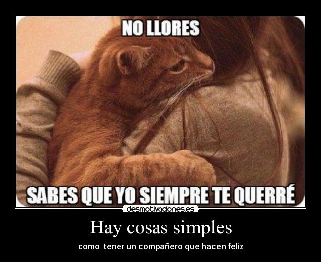 Hay cosas simples - 