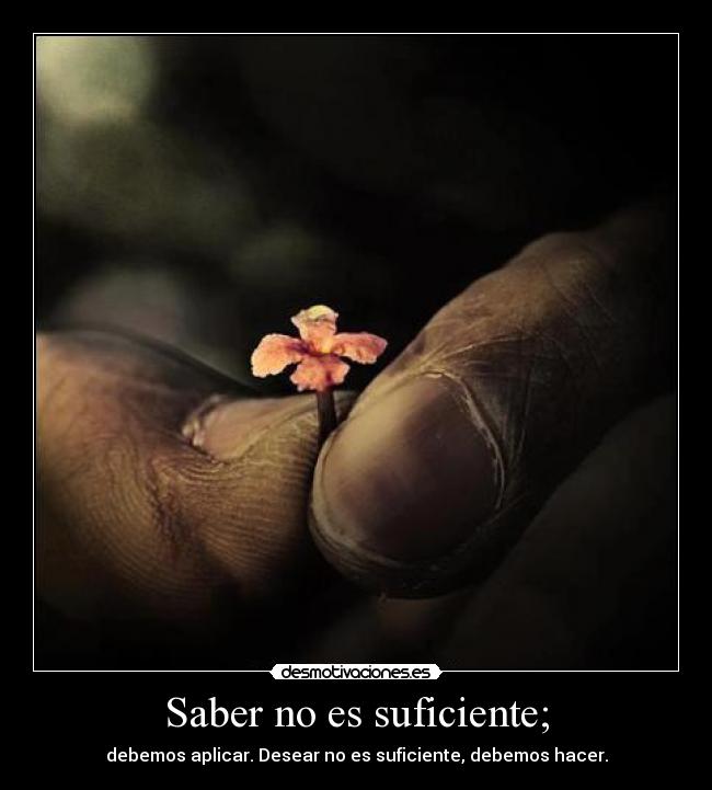 Saber no es suficiente; - debemos aplicar. Desear no es suficiente, debemos hacer.
