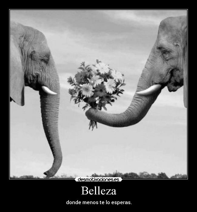 Belleza - donde menos te lo esperas.