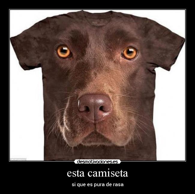 esta camiseta - 