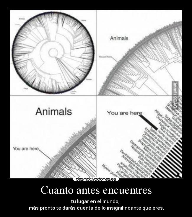 Cuanto antes encuentres - 