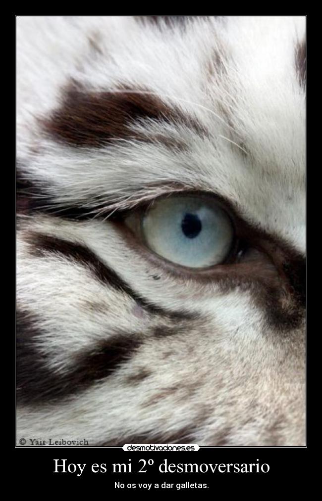 Hoy es mi 2º desmoversario -