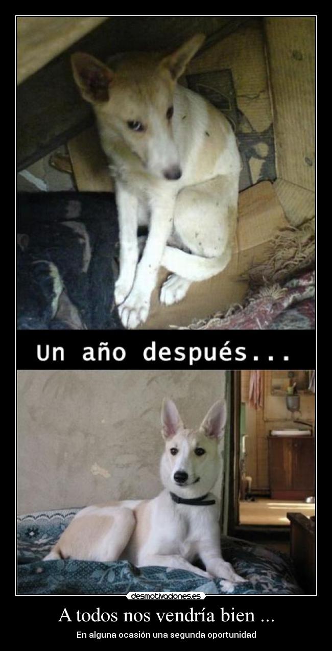 A todos nos vendría bien ... -