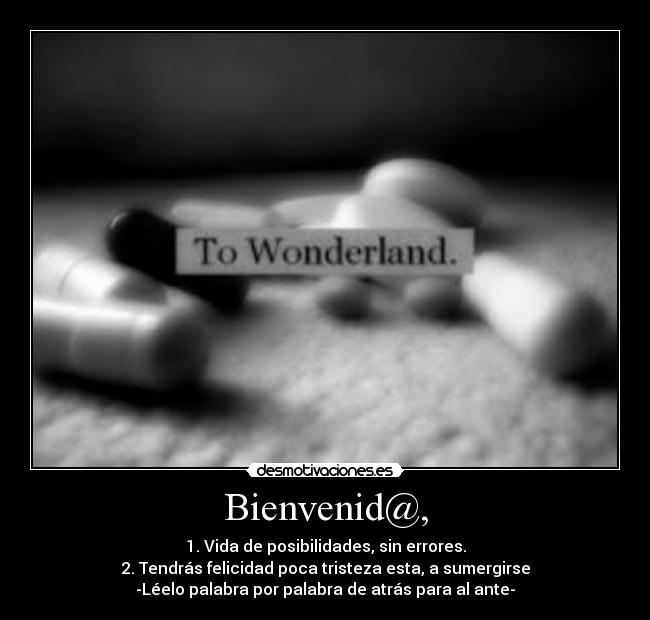 Bienvenid@, -