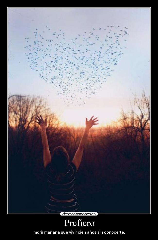 Prefiero - morir mañana que vivir cien años sin conocerte.