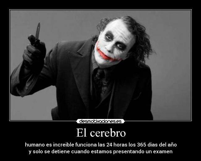 El cerebro -