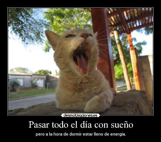 Pasar todo el día con sueño - pero a la hora de dormir estar lleno de energía.