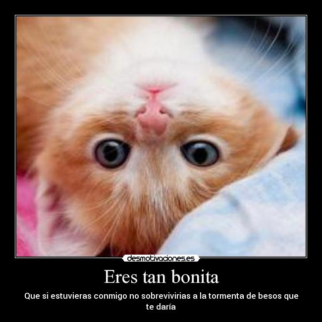 Eres tan bonita - 