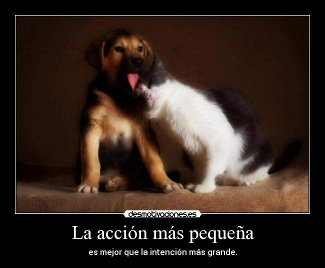 La acción más pequeña -