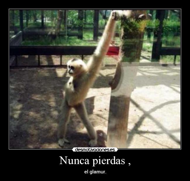 Nunca pierdas , - el glamur.