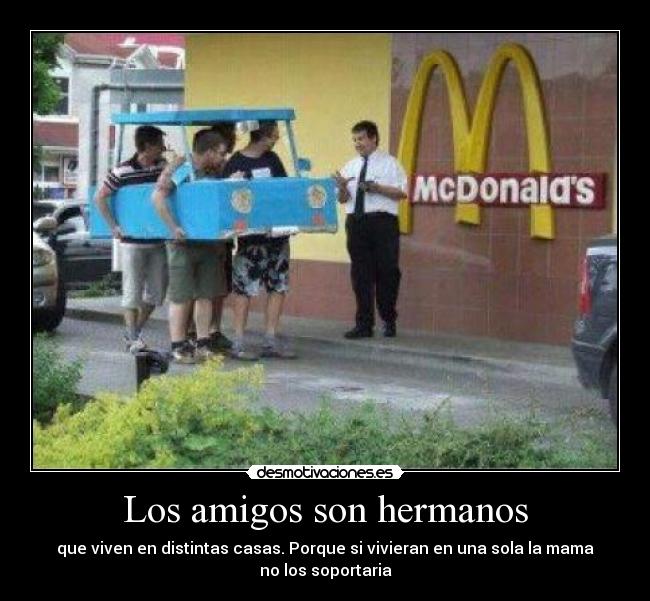 Los amigos son hermanos - 