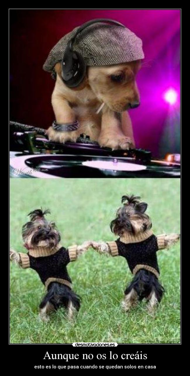 Aunque no os lo creáis - esto es lo que pasa cuando se quedan solos en casa