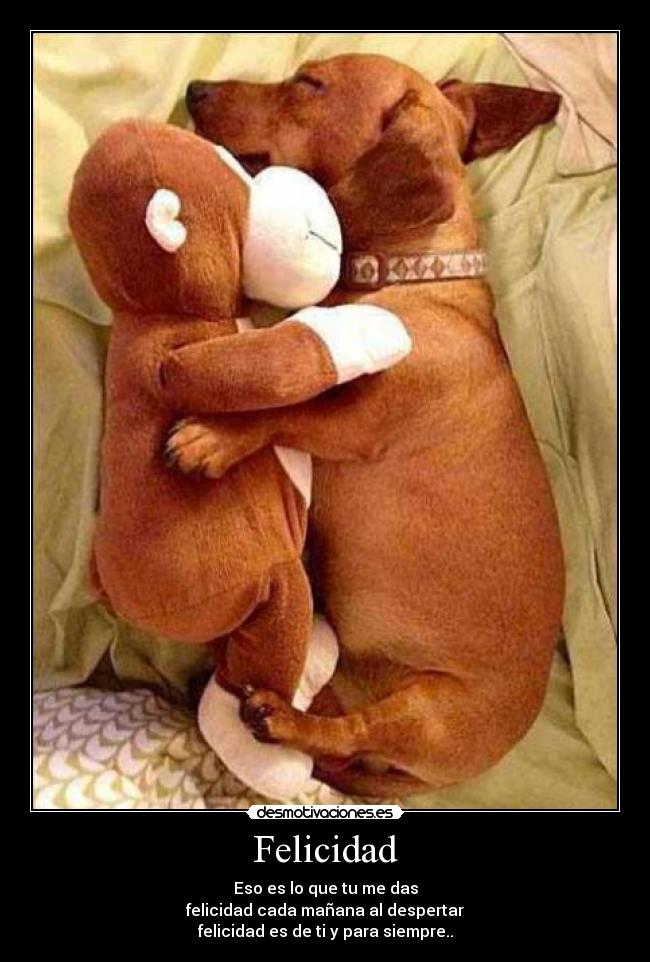 Felicidad - Eso es lo que tu me das
felicidad cada mañana al despertar
felicidad es de ti y para siempre..