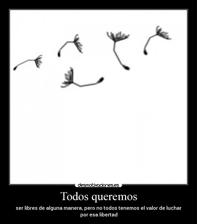 carteles notengoficio desmotivaciones