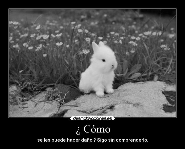 ¿ Cómo - se les puede hacer daño ? Sigo sin comprenderlo.