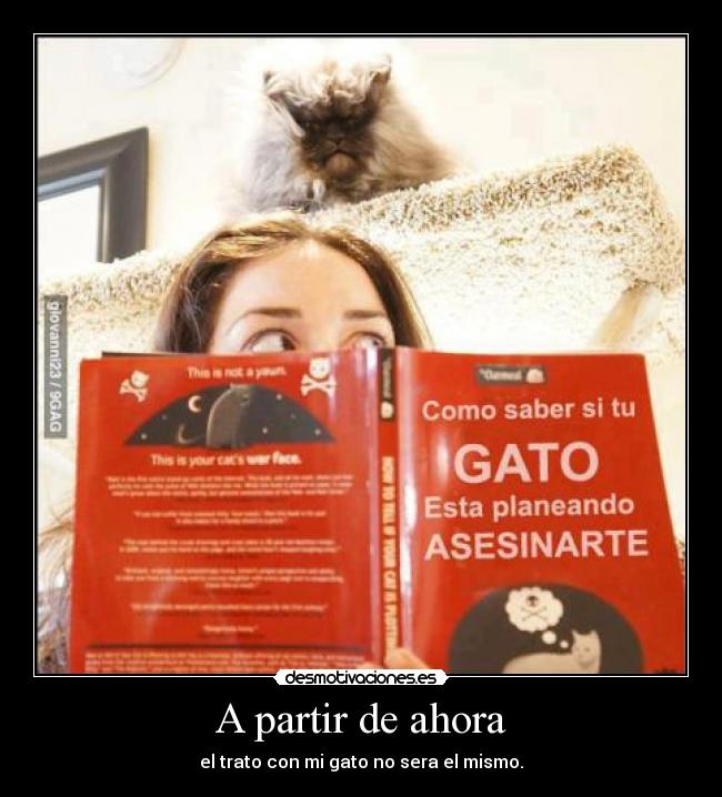 A partir de ahora - el trato con mi gato no sera el mismo.