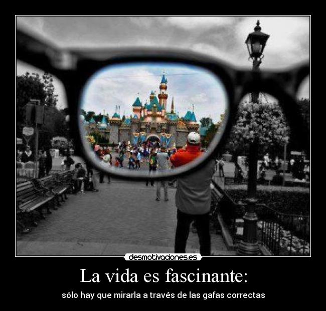 La vida es fascinante: - sólo hay que mirarla a través de las gafas correctas