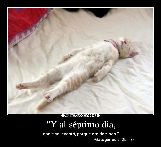 Hoy es sabado Imagui