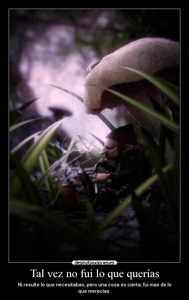 Tal vez no fui lo que querías - Ni resulte lo que necesitabas, pero una cosa es cierta; fui mas de lo que merecías .