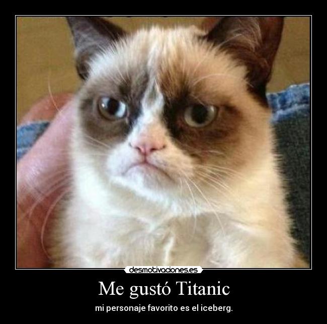 Me gustó Titanic -