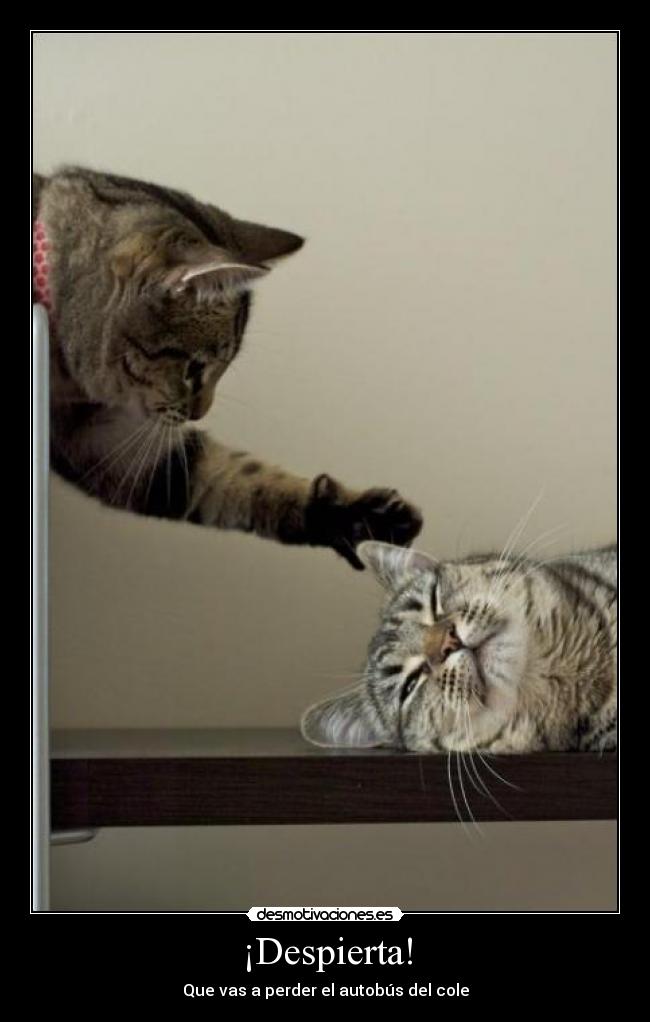 ¡Despierta! - Que vas a perder el autobús del cole