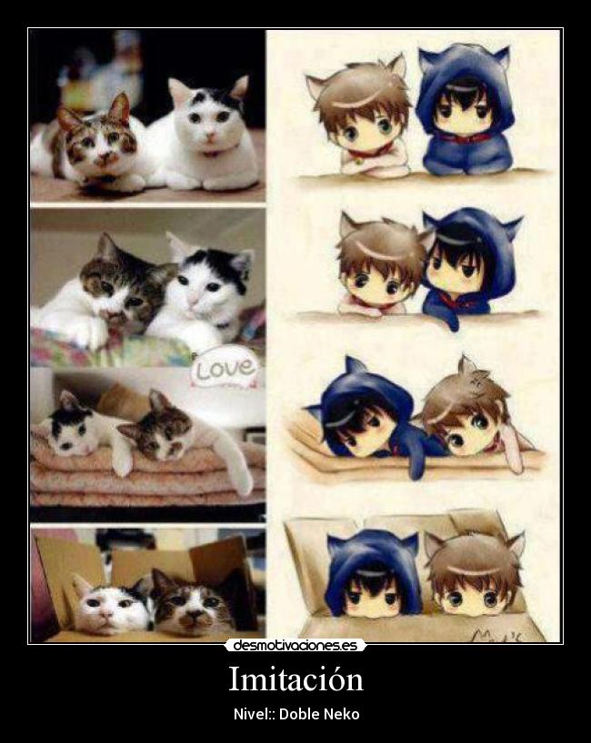 Imitación - Nivel:: Doble Neko