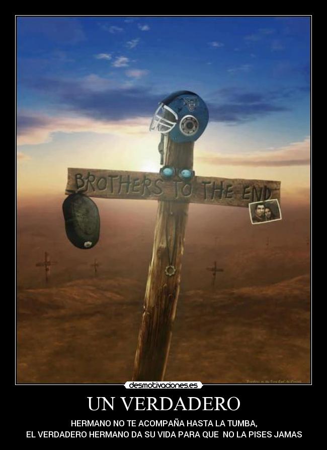 UN VERDADERO - HERMANO NO TE ACOMPAÑA HASTA LA TUMBA,
EL VERDADERO HERMANO DA SU VIDA PARA QUE NO LA PISES JAMAS