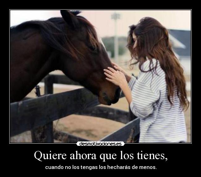 carteles gergertgw desmotivaciones