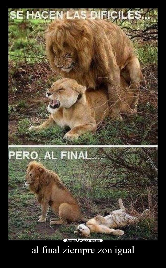 al final ziempre zon igual -