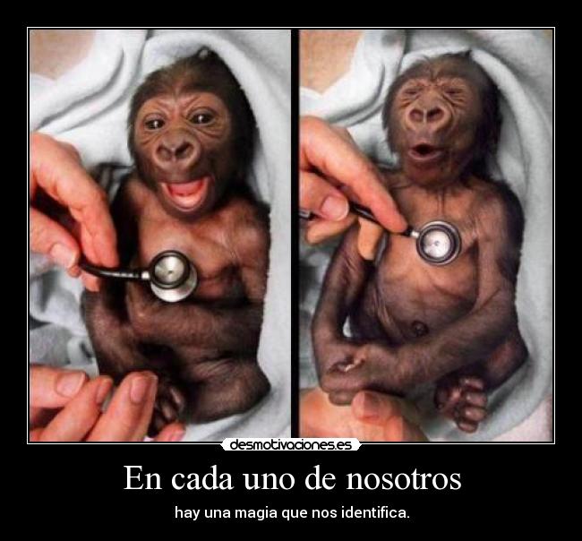 En cada uno de nosotros - hay una magia que nos identifica.