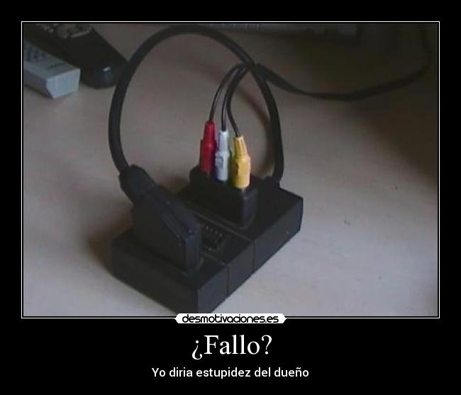 ¿Fallo? - Yo diria estupidez del dueño