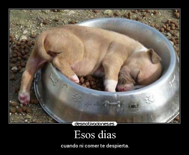 Esos dias - cuando ni comer te despierta.