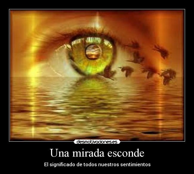 Una mirada esconde - El significado de todos nuestros sentimientos