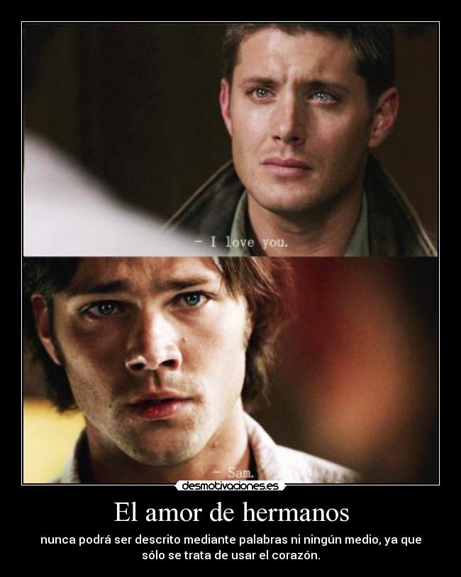 El amor de hermanos - nunca podrá ser descrito mediante palabras ni ningún medio, ya que
sólo se trata de usar el corazón.