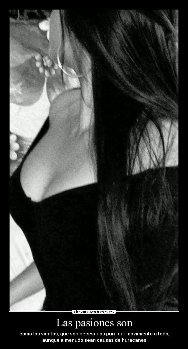 carteles adryng desmotivaciones