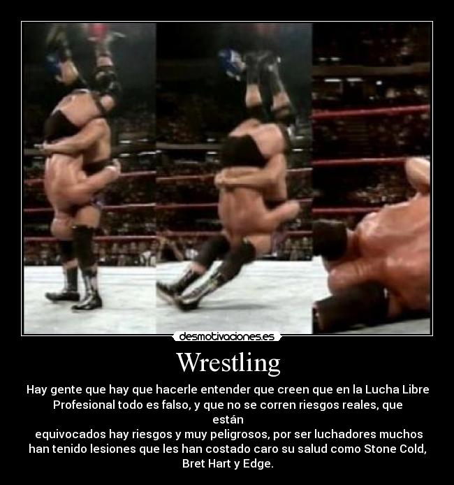 Wrestling - Hay gente que hay que hacerle entender que creen que en la Lucha Libre
Profesional todo es falso, y que no se corren riesgos reales, que
están
equivocados hay riesgos y muy peligrosos, por ser luchadores muchos
han tenido lesiones que les han costado caro su salud como Stone Cold,
Bret Hart y Edge.