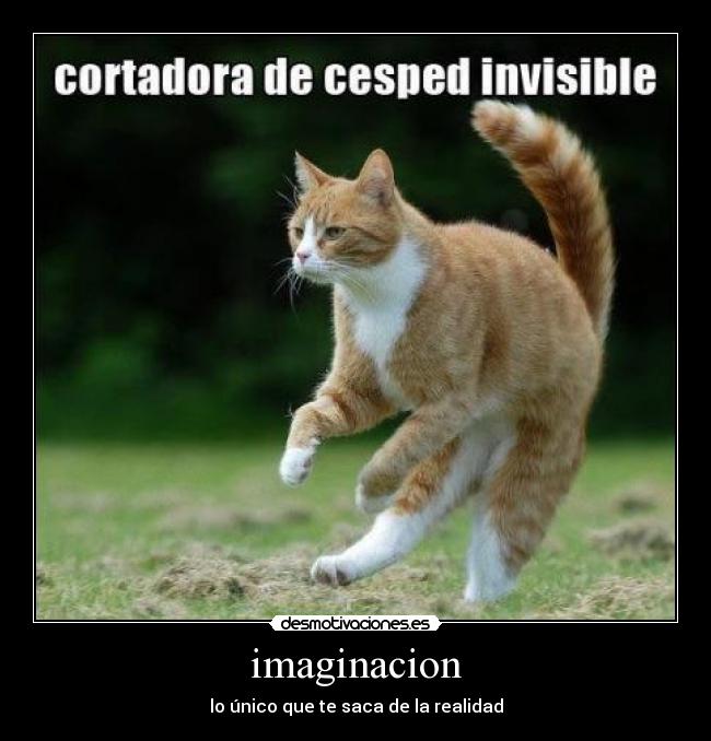 imaginacion - lo único que te saca de la realidad