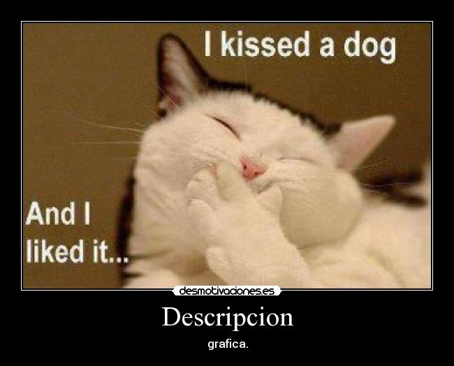Descripcion - grafica.