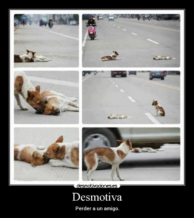 Desmotiva - Perder a un amigo.