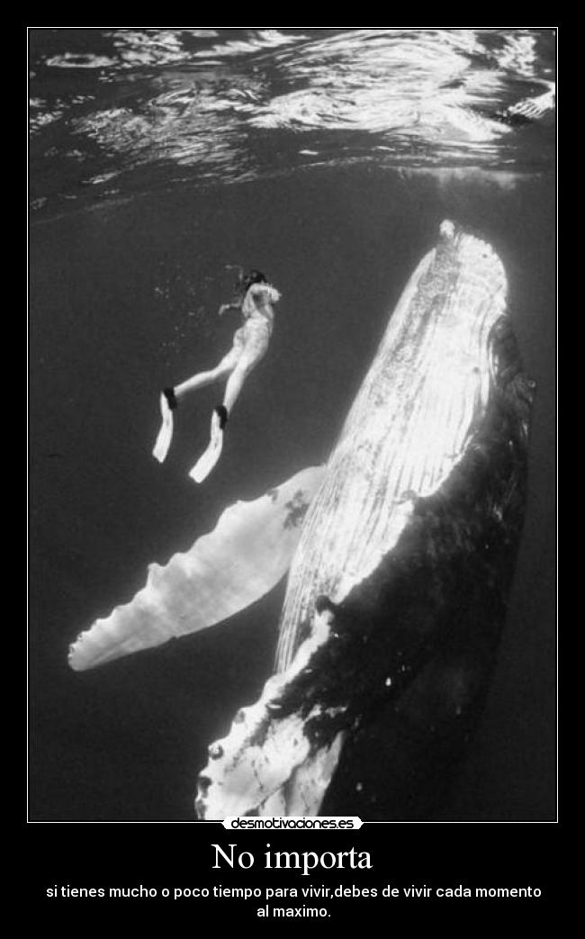 No importa - si tienes mucho o poco tiempo para vivir,debes de vivir cada momento al maximo.