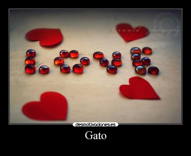 Gato -