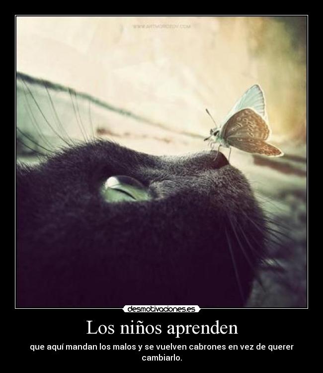 Los niños aprenden - 